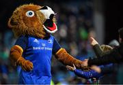 26 November 2022; Leinster rugby mascot Leo the Lion during the United Rugby Championship match between Leinster and Glasgow Warriors at RDS Arena in Dublin. Photo by Tyler Miller/Sportsfile