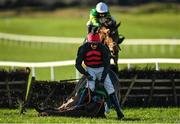 27 November 2022; Affordale Fury and jockey Bryan Cooper fall at the last during the John Lynch Carpets & Flooring Monksfield Novice Hurdle at Navan Racecourse in Meath. Photo by Seb Daly/Sportsfile