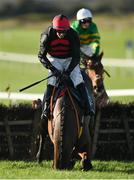 27 November 2022; Affordale Fury and jockey Bryan Cooper fall at the last during the John Lynch Carpets & Flooring Monksfield Novice Hurdle at Navan Racecourse in Meath. Photo by Seb Daly/Sportsfile
