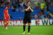 14 August 2013; Shane Long, Republic of Ireland, reacts after a miss. International Friendly, Wales v Republic of Ireland, Cardiff City Stadium, Cardiff, Wales. Picture credit: David Maher / SPORTSFILE