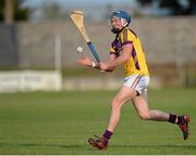 26 June 2013; Ian Byrne, Wexford. Bord Gáis Energy Leinster GAA Hurling Under 21 Championship Semi-Final, Wexford v Carlow, Dr. Cullen Park, Carlow. Picture credit: Brian Lawless / SPORTSFILE
