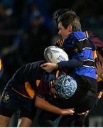 3 December 2022; Action during the Bank of Ireland Half-time Minis match between Skerries and Wexford RFC at the United Rugby Championship match between Leinster and Ulster at the RDS Arena in Dublin. Photo by Harry Murphy/Sportsfile