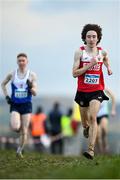 4 December 2022; Dylan Casey of Ennis Track AC, Clare, competing in the men's novice 6000m race during the 123.ie Novice & Uneven Age Cross Country Championships at St Catherines AC in Cork. Photo by Eóin Noonan/Sportsfile