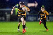 3 December 2022; Action from the Bank of Ireland Half-time Minis match between Cill Dara RFC and Carlow RFC at the United Rugby Championship match between Leinster and Ulster at the RDS Arena in Dublin. Photo by Ramsey Cardy/Sportsfile