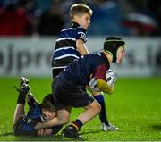 3 December 2022; Action from the Bank of Ireland Half-time Minis match between Wexford RFC and Skerries RFC at the United Rugby Championship match between Leinster and Ulster at the RDS Arena in Dublin. Photo by Ramsey Cardy/Sportsfile