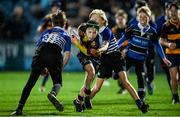 3 December 2022; Action from the Bank of Ireland Half-time Minis match between Wexford RFC and Skerries RFC at the United Rugby Championship match between Leinster and Ulster at the RDS Arena in Dublin. Photo by Ramsey Cardy/Sportsfile