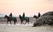 13 December 2022; Horses and riders from the string of trainer Johnny Murtagh on the gallops at the Curragh, Co Kildare. Photo by David Fitzgerald/Sportsfile