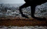 13 December 2022; A horse rides past frosted grass on the gallops at the Curragh, Co Kildare. Photo by David Fitzgerald/Sportsfile