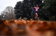 18 December 2022; Nick Christie of USA competing in the Men's Senior 35km walk during the 123.ie National Race Walk Championships at St. Anne's Park in Raheny, Dublin. Photo by Ben McShane/Sportsfile