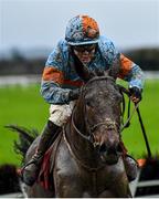 19 December 2022; La Malmason, with Luke Dempsey up, during the Free Entry On NYE hurdle at Punchestown Racecourse in Naas, Kildare. Photo by David Fitzgerald/Sportsfile