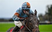 19 December 2022; La Malmason, with Luke Dempsey up, during the Free Entry On NYE hurdle at Punchestown Racecourse in Naas, Kildare. Photo by David Fitzgerald/Sportsfile