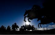 26 December 2022; Runners and riders jump the first during the Thorntons Recycling Maiden Hurdle on day one of the Leopardstown Christmas Festival at Leopardstown Racecourse in Dublin. Photo by Seb Daly/Sportsfile