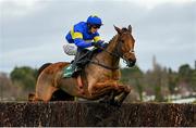 27 December 2022; Dysart Dynamo, with Paul Townend up, jumps the last on their way to winning the Paddy Power Beginners Steeplechase on day two of the Leopardstown Christmas Festival at Leopardstown Racecourse in Dublin. Photo by Seb Daly/Sportsfile