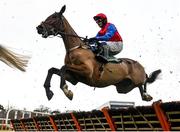 27 December 2022; Facile Vega, with Paul Townend up, jumps the first on their way to winning the Paddy Power Future Champions Novice Hurdle on day two of the Leopardstown Christmas Festival at Leopardstown Racecourse in Dublin. Photo by Seb Daly/Sportsfile