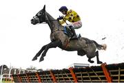 27 December 2022; Il Etait Temps, with Danny Mullins up, jumps the first during the Paddy Power Future Champions Novice Hurdle on day two of the Leopardstown Christmas Festival at Leopardstown Racecourse in Dublin. Photo by Seb Daly/Sportsfile