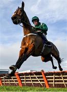 28 December 2022; Sainte Dona, with Bryan Cooper up, jumps the last during the first circuit of the Pertemps Network Handicap Hurdle on day three of the Leopardstown Christmas Festival at Leopardstown Racecourse in Dublin. Photo by Seb Daly/Sportsfile