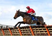 28 December 2022; Home By The Lee, with JJ Slevin up, jumps the last during the first circuit on their way to winning the Jack de Bromhead Christmas Hurdle on day three of the Leopardstown Christmas Festival at Leopardstown Racecourse in Dublin. Photo by Seb Daly/Sportsfile