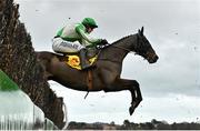 28 December 2022; Royal Rendezvous, with Brian Hayes up, during the Savills Steeplechase on day three of the Leopardstown Christmas Festival at Leopardstown Racecourse in Dublin. Photo by Seb Daly/Sportsfile