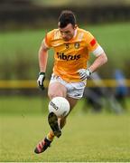 8 January 2023; Dermot McAleese of Antrim during the Bank of Ireland Dr McKenna Cup Round 2 match between Antrim and Cavan at Kelly Park in Portglenone, Antrim. Photo by Ramsey Cardy/Sportsfile