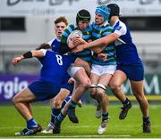 11 January 2023; Cian Geraghty and Oisín Denver of St Gerard’s School are tackled by Adam Tobin and Patrick McIlduff of St Andrew’s College during the Bank of Ireland Vinnie Murray Cup first round match between St Gerard’s School and St Andrew’s College at Energia Park in Dublin. Photo by Harry Murphy/Sportsfile