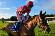 14 January 2023; Jazzy Matty, with Davy Russell up, during the Race Displays hurdle at Fairyhouse Racecourse in Meath. Photo by David Fitzgerald/Sportsfile