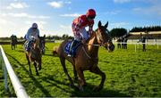 14 January 2023; Jazzy Matty, with Davy Russell up, during the Race Displays hurdle at Fairyhouse Racecourse in Meath. Photo by David Fitzgerald/Sportsfile