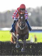 14 January 2023; Jazzy Matty, with Davy Russell up, jumps the last during the Race Displays hurdle at Fairyhouse Racecourse in Meath. Photo by David Fitzgerald/Sportsfile