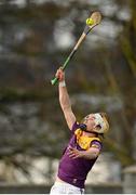 15 January 2023; Ian Carty of Wexford during the Walsh Cup Group 2 Round 2 match between Offaly and Wexford at St Brendan's Park in Birr, Offaly. Photo by Seb Daly/Sportsfile
