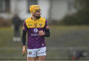 15 January 2023; Tomás Kinsella of Wexford during the Walsh Cup Group 2 Round 2 match between Offaly and Wexford at St Brendan's Park in Birr, Offaly. Photo by Seb Daly/Sportsfile