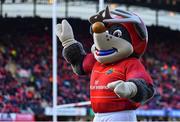 14 January 2023; The Munster mascot Oscar during the Heineken Champions Cup Pool B Round 3 match between Munster and Northampton Saints at Thomond Park in Limerick. Photo by Tyler Miller/Sportsfile