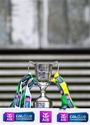 22 January 2023; The Tommy Moore Cup before the AIB GAA Hurling All-Ireland Senior Club Championship Final match between Shamrocks Ballyhale of Kilkenny and Dunloy Cúchullain's of Antrim at Croke Park in Dublin. Photo by Piaras Ó Mídheach/Sportsfile