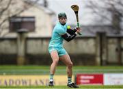 22 January 2023; Limerick goalkeeper David McCarthy during the Co-Op Superstores Munster Hurling League Group 2 match between Kerry and Limerick at Austin Stack Park in Tralee, Kerry. Photo by Michael P Ryan/Sportsfile