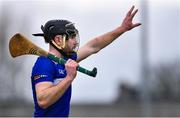22 January 2023; Padraic Dunne of Laois during the Walsh Cup Group 2 Round 3 match between Offaly and Laois at Glenisk O'Connor Park in Tullamore, Offaly. Photo by Tyler Miller/Sportsfile