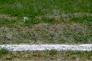 22 January 2023; A general view of the Croke Park pitch during the AIB GAA Football All-Ireland Senior Club Championship Final match between Watty Graham's Glen of Derry and Kilmacud Crokes of Dublin at Croke Park in Dublin. Photo by Ramsey Cardy/Sportsfile