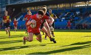 24 January 2023; Eoghan O'Reilly of CUS dives over to score his side a try during the Bank of Ireland Vinnie Murray Cup Semi-Final match between St Fintans High School and CUS at Energia Park in Dublin. Photo by Tyler Miller/Sportsfile