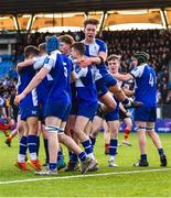 24 January 2023; Harry Machesney of St Andrew's College, hidden, celebrates with teammates after scoring his side's first try during the Bank of Ireland Vinnie Murray Cup Semi-Final match between Temple Carrig and St Andrews College at Energia Park in Dublin. Photo by Tyler Miller/Sportsfile
