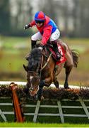 26 January 2023; Ik's Man and jockey Jody Townend narrowly avoid falling at the last on during the Connolly's RED MILLS Irish EBF Ladies Auction Maiden Hurdle at Gowran Park in Kilkenny. Photo by Seb Daly/Sportsfile