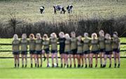 28 January 2023; Cows go about their business in a nearby field as Kerry players stand for Amhrán na bhFiann before the 2023 Lidl Ladies National Football League Division 1 Round 2 match between Mayo and Kerry at the NUI Galway Connacht GAA Centre of Excellence in Bekan, Mayo. Photo by Piaras Ó Mídheach/Sportsfile
