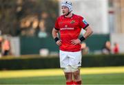 28 January 2023; Fineen Wycherley of Munster during the United Rugby Championship match between Benetton and Munster at Stadio Monigo in Treviso, Italy. Photo by Roberto Bregani/Sportsfile