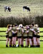 28 January 2023; Cows go about their business in a nearby field as Kerry players huddle before the 2023 Lidl Ladies National Football League Division 1 Round 2 match between Mayo and Kerry at the NUI Galway Connacht GAA Centre of Excellence in Bekan, Mayo. Photo by Piaras Ó Mídheach/Sportsfile
