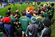 28 January 2023; Leo the Lion with the Boyne RFC minis team before the Bank of Ireland Half-Time Minis at the United Rugby Championship match between Leinster and Cardiff at RDS Arena in Dublin. Photo by Brendan Moran/Sportsfile