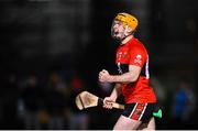 2 February 2023; Niall O’Leary of UCC celebrates his side winning a free during the HE GAA Fitzgibbon Cup Group C match between University College Dublin and University College Cork at Billings Park in Belfield, Dublin. Photo by Seb Daly/Sportsfile