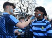 3 February 2023; A St Vincent's Castleknock College supporter has his face painted before the Bank of Ireland Leinster Rugby Schools Senior Cup First Round match between CBC Monkstown and St Vincent’s Castleknock College at Energia Park in Dublin. Photo by Tyler Miller/Sportsfile