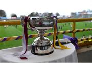 4 February 2023; A general view of the Walsh Cup before the Allianz Hurling League Division 1 Group A match, which doubled up as the Walsh Cup Final, between Wexford and Galway at Chadwicks Wexford Park in Wexford. Photo by Piaras Ó Mídheach/Sportsfile