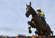 4 February 2023; Weveallbeencaught, with Sam Twiston-Davies up, during the Nathaniel Lacy and Partners Solicitors Novice Hurdle on day one of the Dublin Racing Festival at Leopardstown Racecourse in Dublin. Photo by Seb Daly/Sportsfile