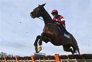 4 February 2023; Cool Survivor, with Bryan Cooper up, during the Nathaniel Lacy and Partners Solicitors Novice Hurdle on day one of the Dublin Racing Festival at Leopardstown Racecourse in Dublin. Photo by Seb Daly/Sportsfile