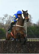 4 February 2023; Kemboy, with Rachael Blackmore up, during the Paddy Power Irish Gold Cup on day one of the Dublin Racing Festival at Leopardstown Racecourse in Dublin. Photo by Seb Daly/Sportsfile