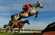 5 February 2023; Dunvegan, with Bryan Cooper up, jumps the first during the Ladbrokes Dublin Steeplechase on day two of the Dublin Racing Festival at Leopardstown Racecourse in Dublin. Photo by Seb Daly/Sportsfile