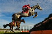 5 February 2023; Dunvegan, with Bryan Cooper up, jumps the first during the Ladbrokes Dublin Steeplechase on day two of the Dublin Racing Festival at Leopardstown Racecourse in Dublin. Photo by Seb Daly/Sportsfile