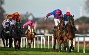 5 February 2023; The Goffer, second right, with Davy Russell up, on their way to winning the Bulmers Leopardstown Handicap Steeplechase on day two of the Dublin Racing Festival at Leopardstown Racecourse in Dublin. Photo by Seb Daly/Sportsfile